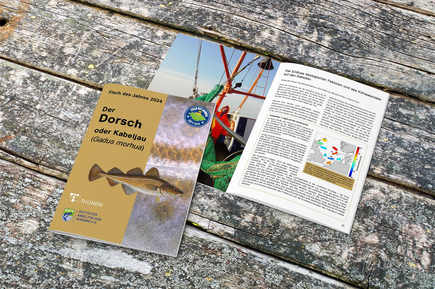 DAFV Heft zum Fisch des Jahres 2024 - Dorsch (Gadus Morhua)