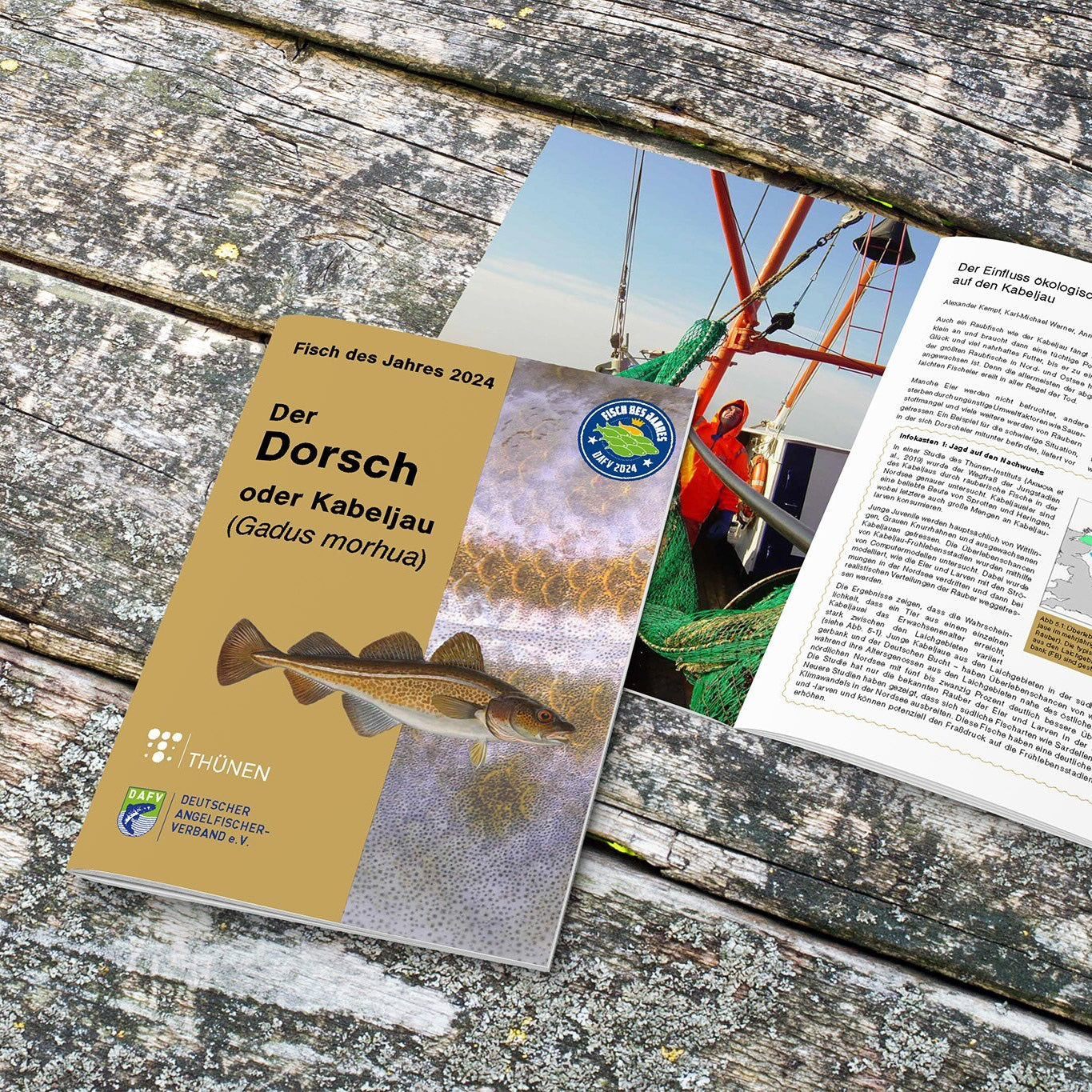 DAFV Heft zum Fisch des Jahres 2024 - Dorsch (Gadus Morhua)