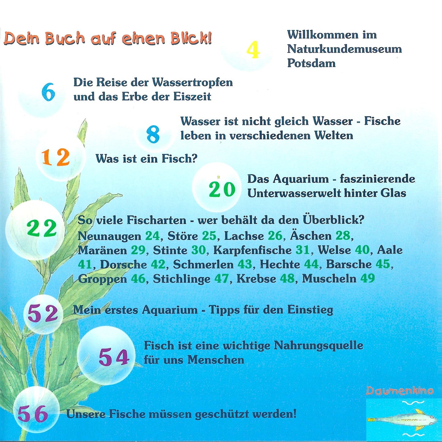 Kinder-Aquarienführer Aquarium "Fische Brandenburgs"