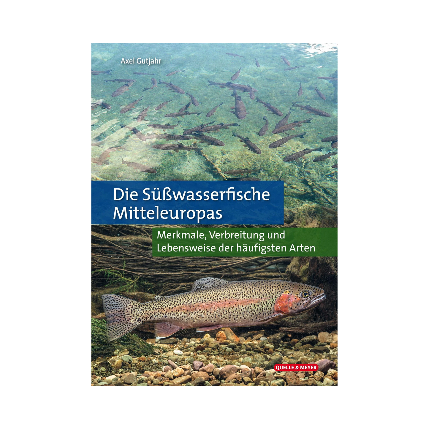 Die Süßwasserfische Mitteleuropas