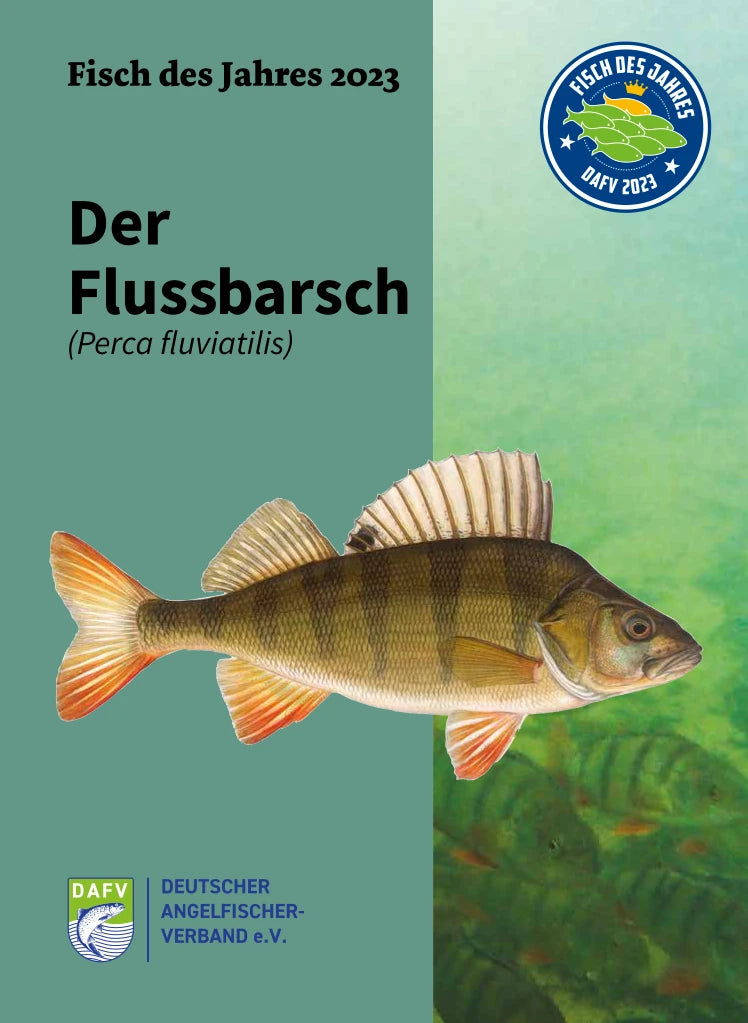 DAFV Heft zum Fisch des Jahres 2023 - Flussbarsch (Perca fluviatilis)