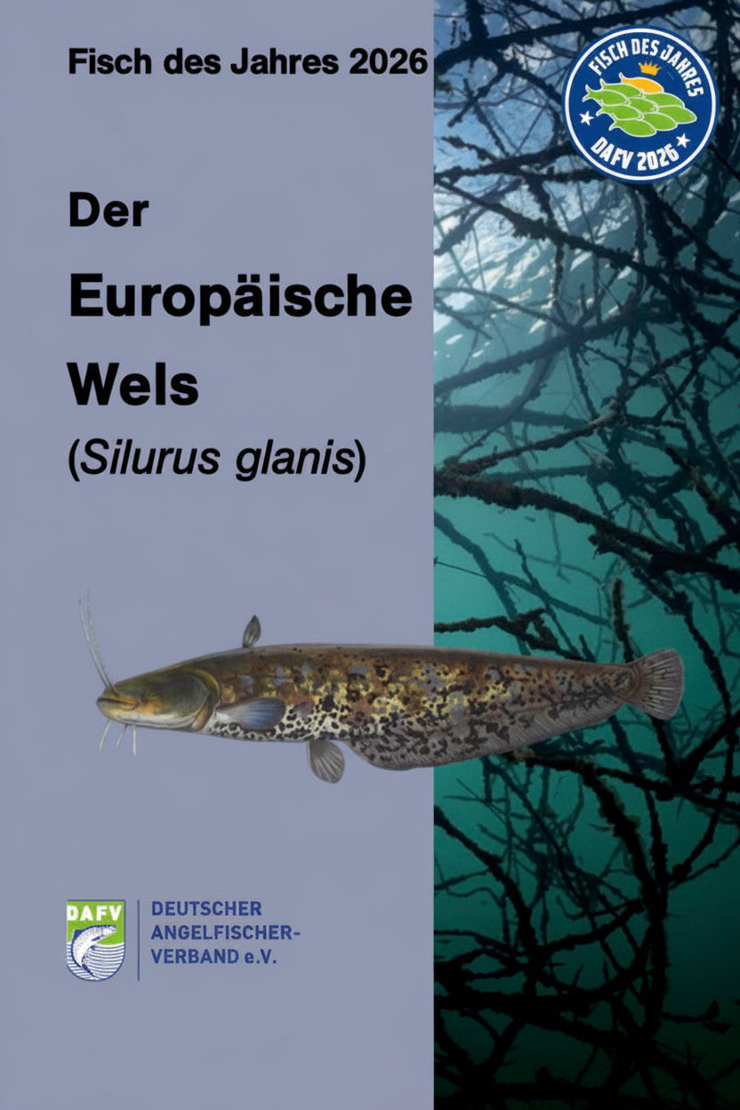 Heft zum Fisch des Jahres, in diesem Fall der Europäische Aal.