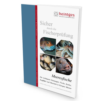 Heintges Komplettangebot Fisch