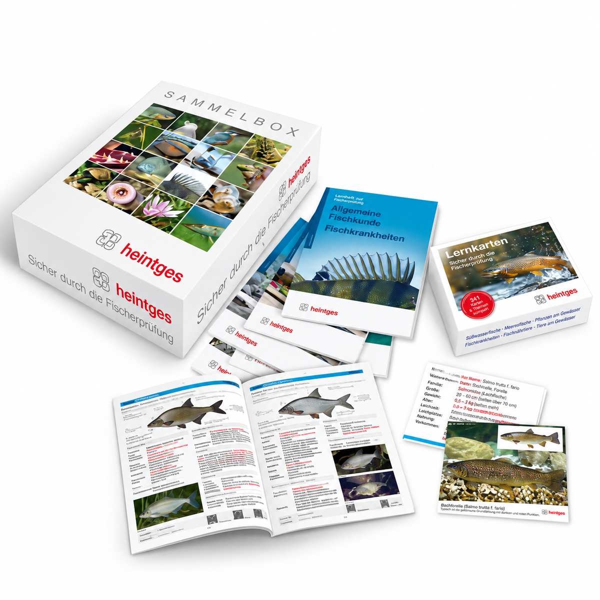 Heintges Komplettangebot Fisch