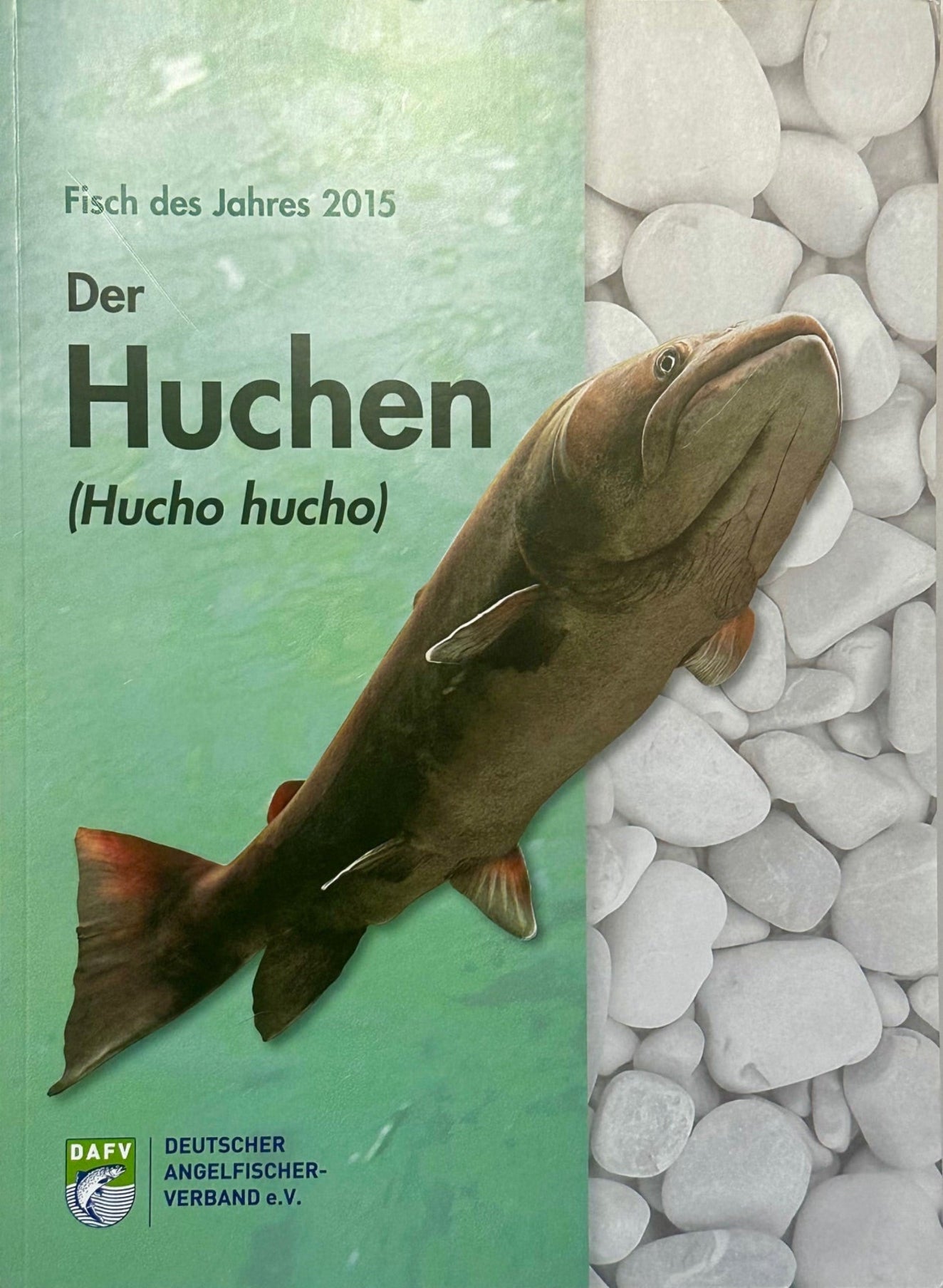 Der Huchen, Fisch des Jahres. Diesem Fisch ist diese Ausgabe gewidmet.