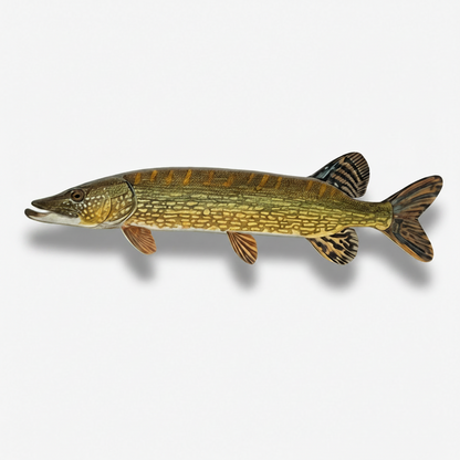 DAFV Konturenfisch „Hecht“ – ca. 101 cm