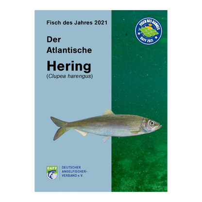 DAFV Heft zum Fisch des Jahres 2021 und 2022 - Hering (Clupea harengus)