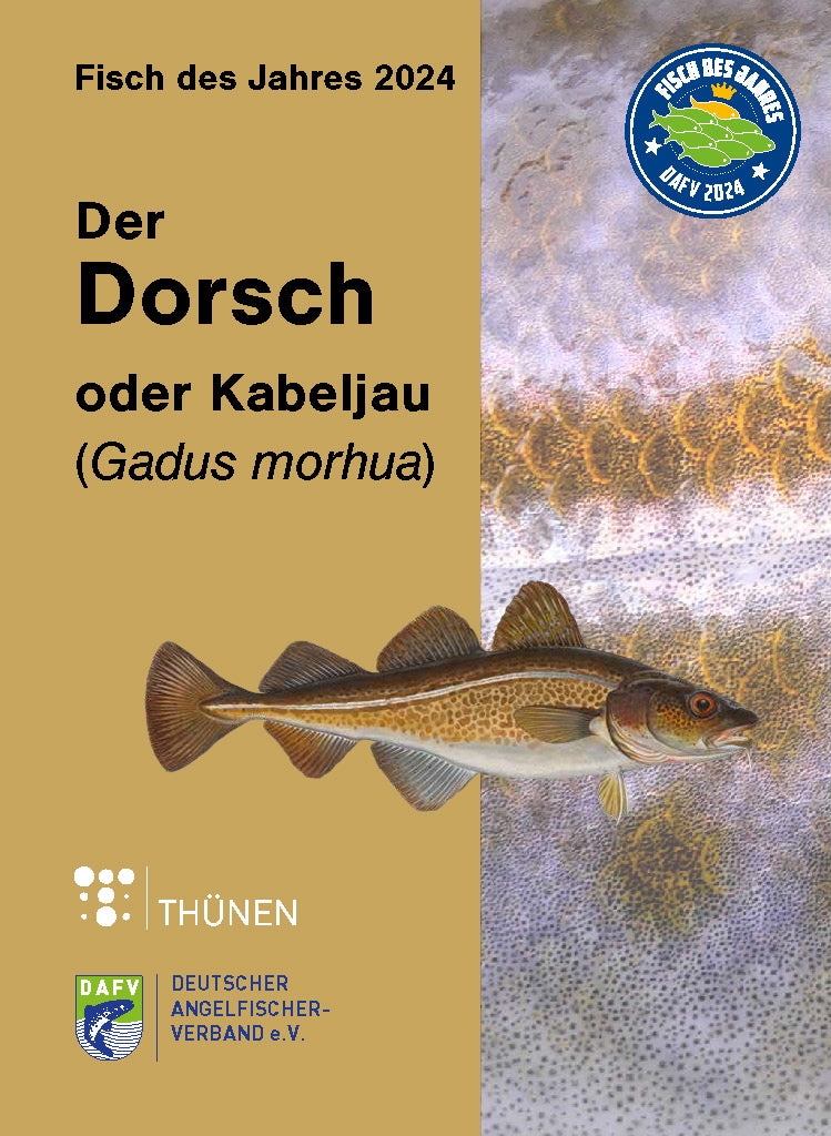 DAFV Heft zum Fisch des Jahres 2024 - Dorsch (Gadus Morhua)