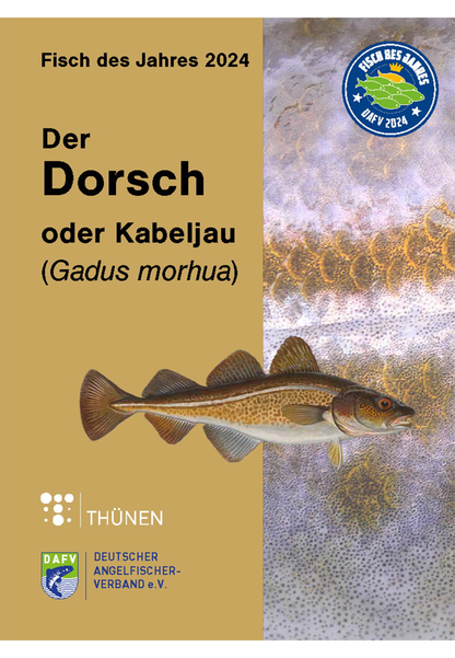 Auf fast 100 Seiten bietet die aktuelle Broschüre Wissenswertes über die Biologie, den Lebensraum und die wirtschaftliche Bedeutung des Kabeljaus. Natürlich wird dabei auch ein gesondertes Augenmerk auf die Bestandssituation in der Ostsee und die Angelfischerei auf Dorsch gelegt.
