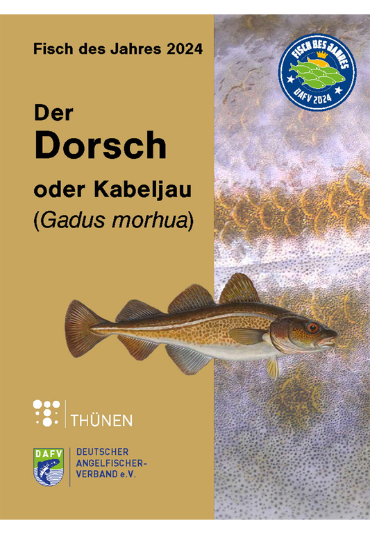 Auf fast 100 Seiten bietet die aktuelle Broschüre Wissenswertes über die Biologie, den Lebensraum und die wirtschaftliche Bedeutung des Kabeljaus. Natürlich wird dabei auch ein gesondertes Augenmerk auf die Bestandssituation in der Ostsee und die Angelfischerei auf Dorsch gelegt.
