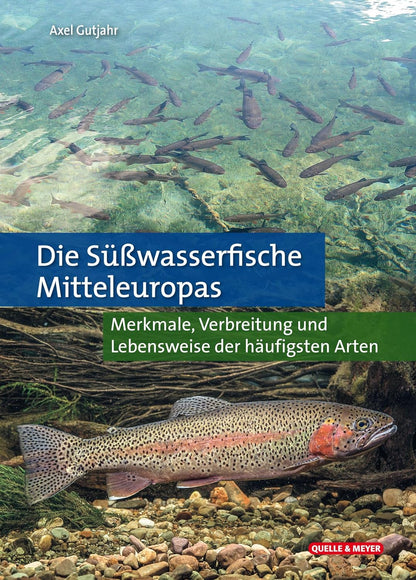 Die Süßwasserfische Mitteleuropas - Dein umfassender Führer für heimische Fischarten