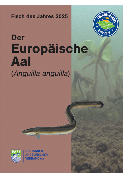 DAFV Heft zum Fisch des Jahres 2025 - Aal (Anguilla anguilla)