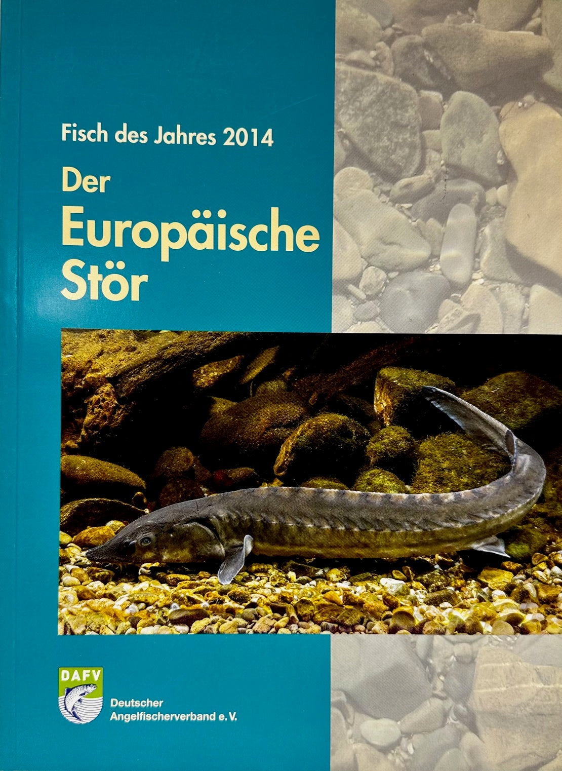 Der Stör als Fisch des Jahres 2014: DAFV-Heft zu Biologie, historischer Störfischerei, Aussterben und Wiederansiedlung in Elbe und Rhein.