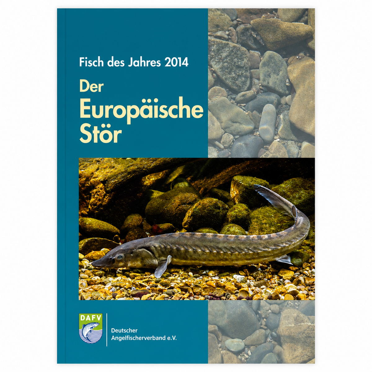 DAFV Heft „Fisch des Jahres 2014“ – Stör