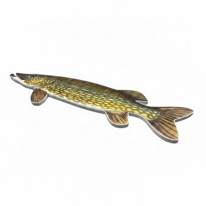 Konturenfisch-Bundle „Heimische Raubfische“, Zander, Barsch und Hecht