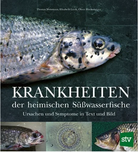 Krankheiten der heimischen Süßwasserfische
