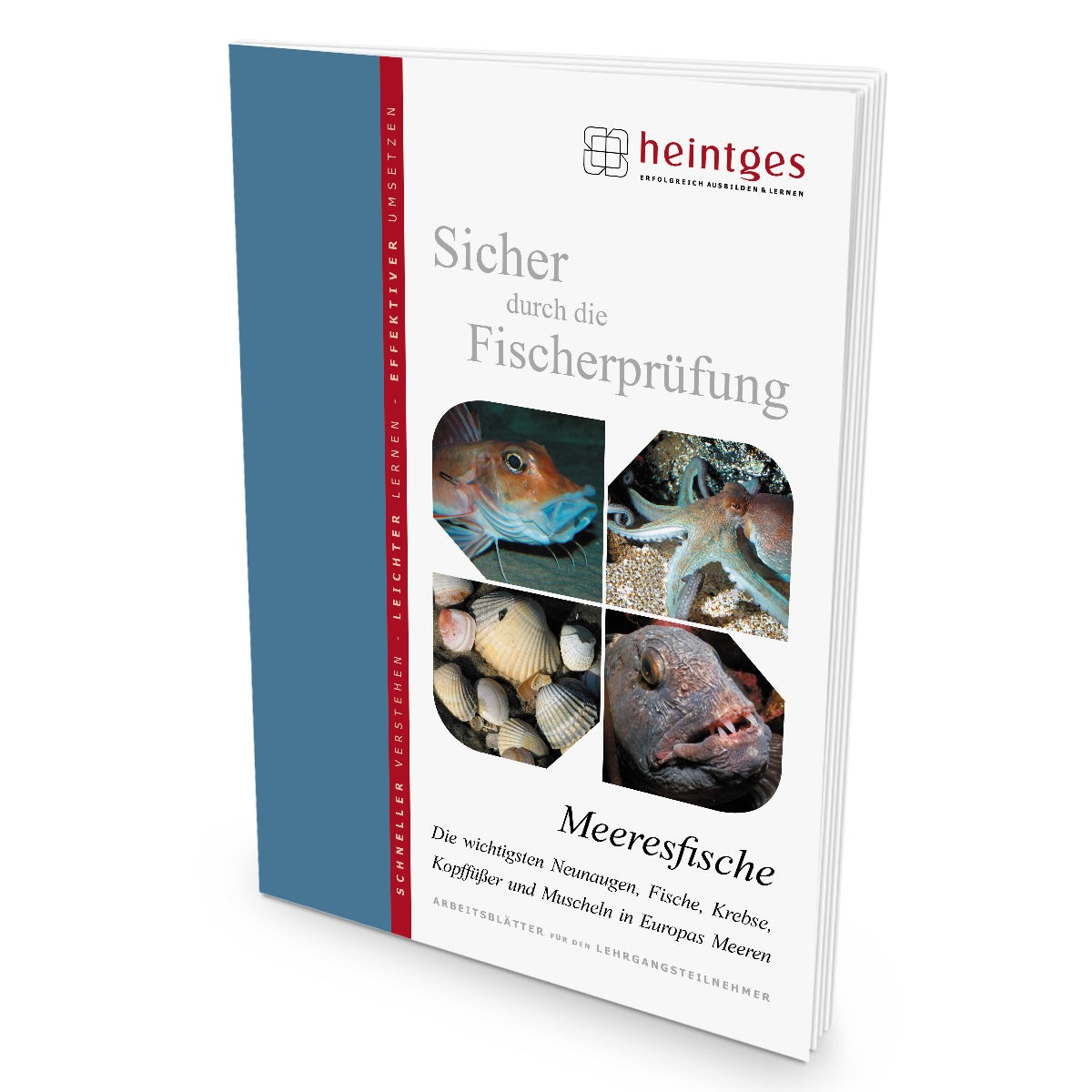 Heintges Lernheft Meeresfische