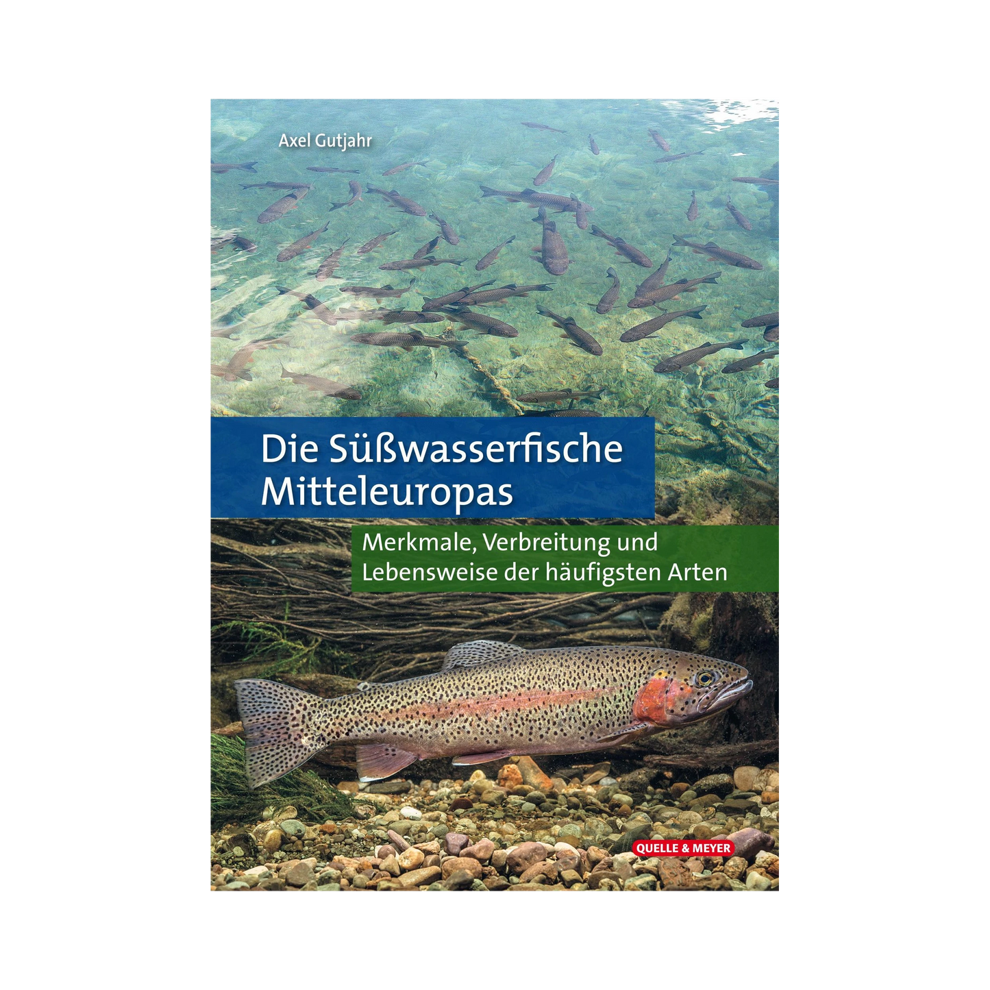 QUELLE UND MEYER Die Süßwasserfische Mitteleuropas (Axel Gutjahr)
