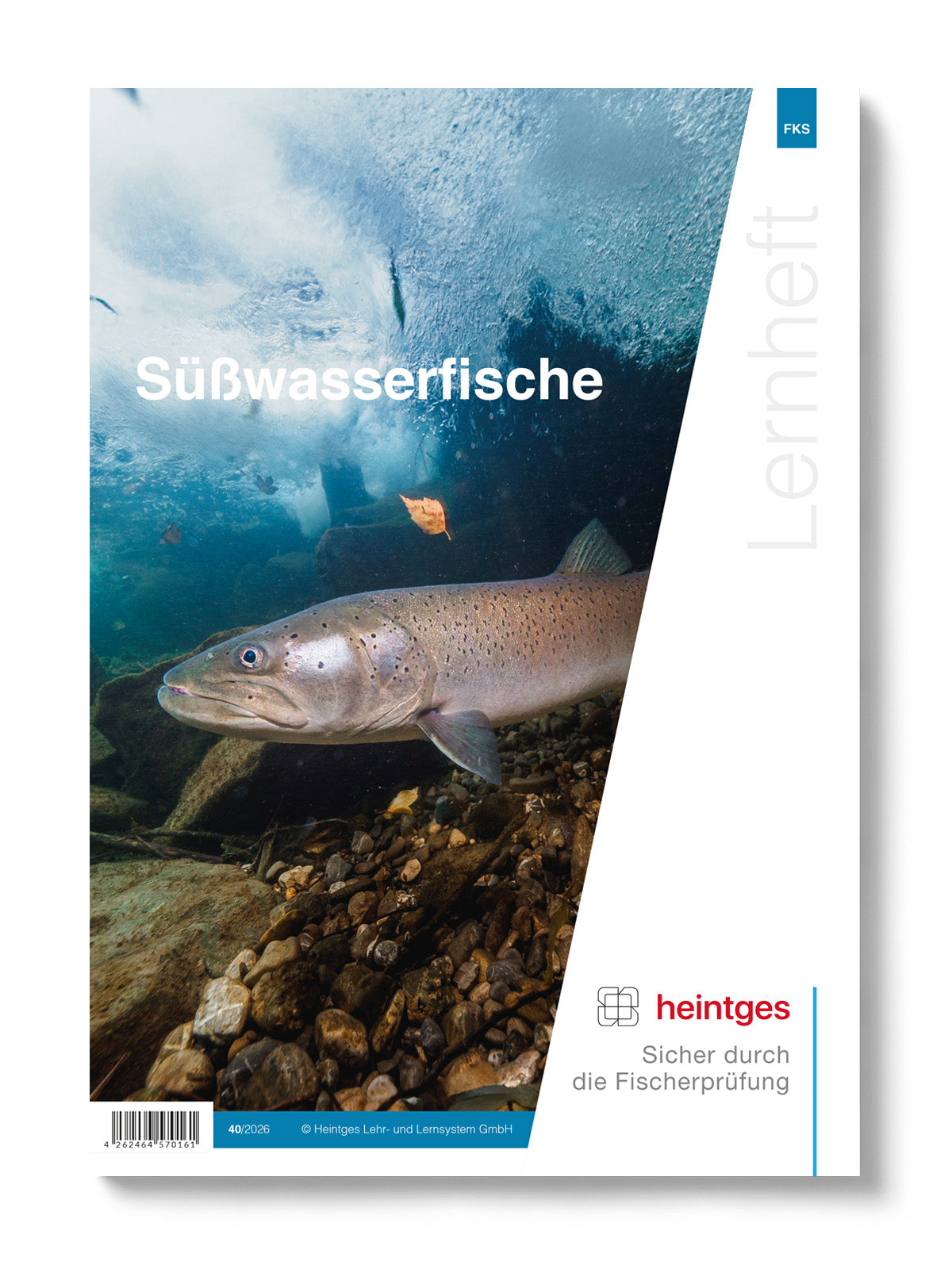 Heintges Lernheft Süßwasserfische