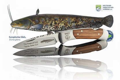 Angebot: Messer PLUS Fisch-Poster zum Fisch des Jahres 2026 Europäischer Wels.